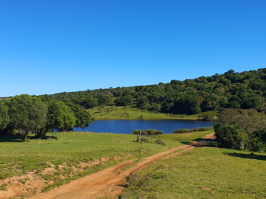 5 Bedroom Property for Sale in Grahamstown Central Eastern Cape